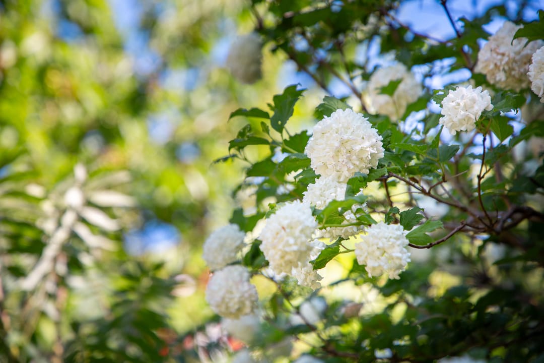 Foto 68 van Waliënseweg 48