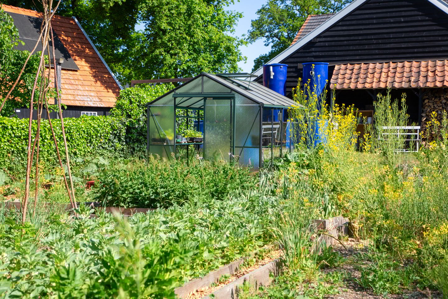 Foto 70 van Waliënseweg 48