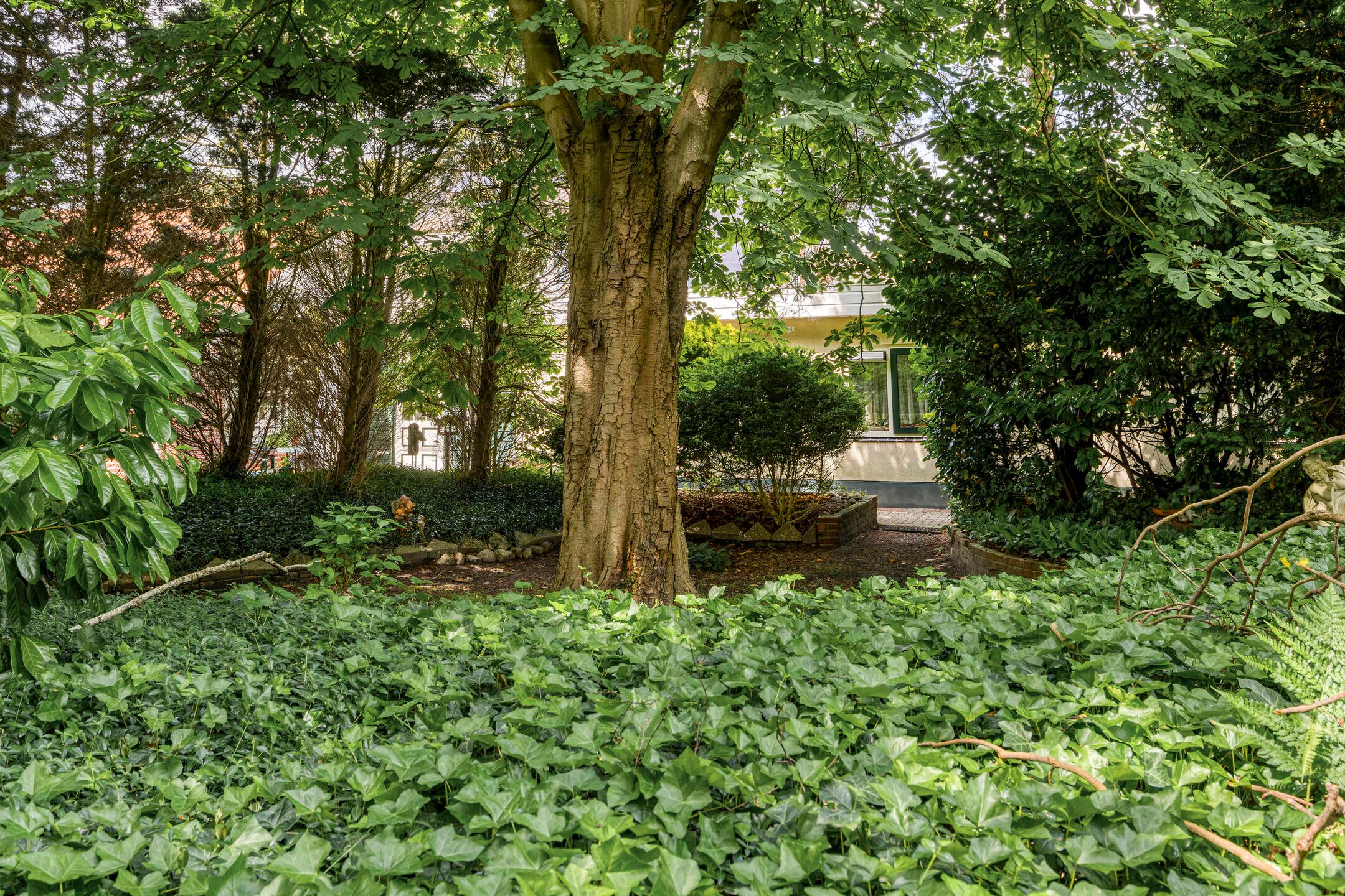 Foto 39 van K.J. de Vriezestraat 63