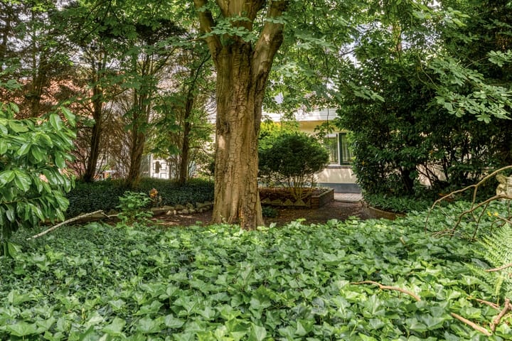 Photo 39 of K.J. de Vriezestraat 63