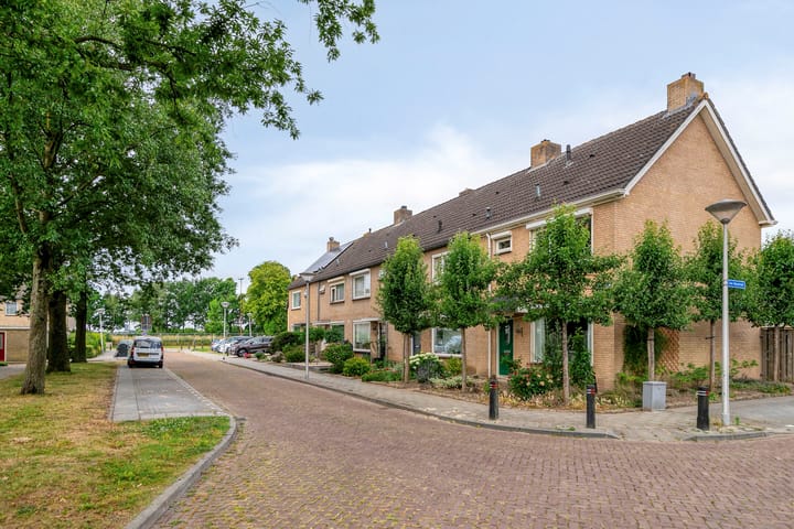 Foto 44 van de Vriesstraat 2