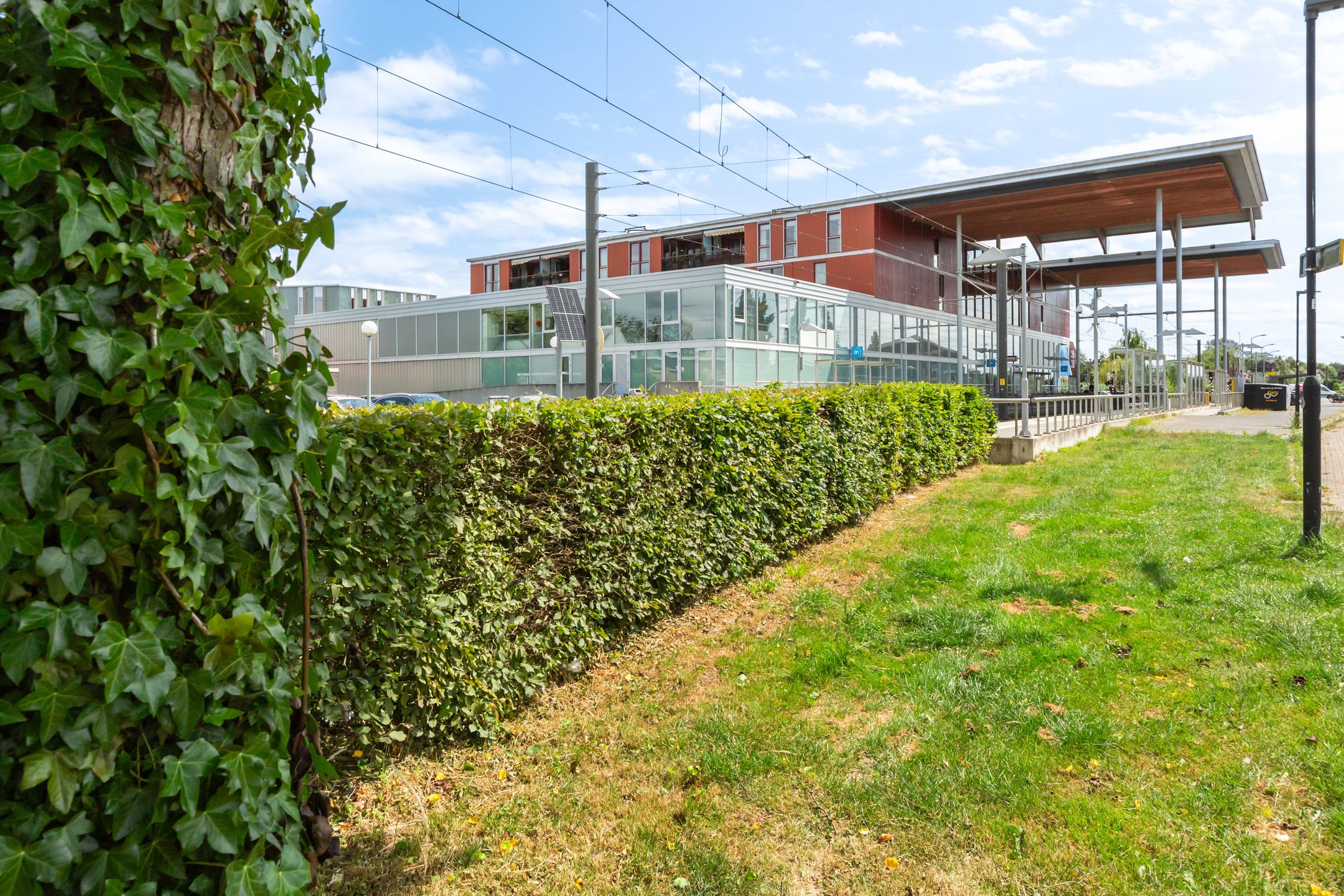 Foto 6 van Basiliekpad 28