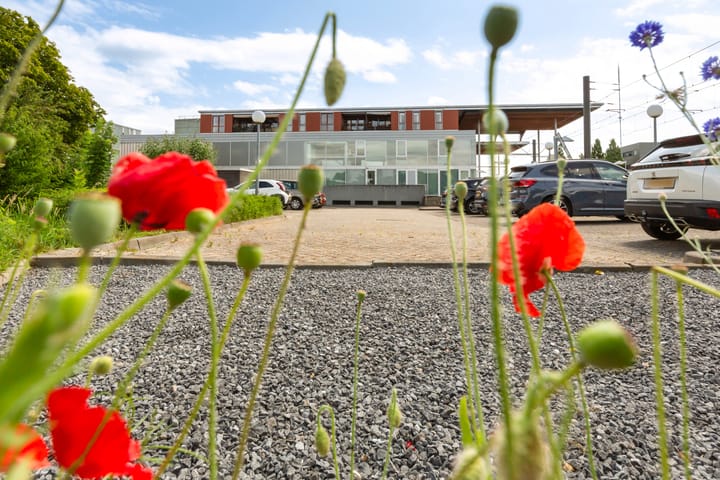 Foto 49 van Basiliekpad 28