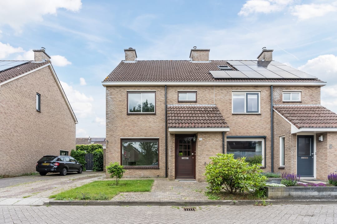 Foto 2 van Roodborst 35