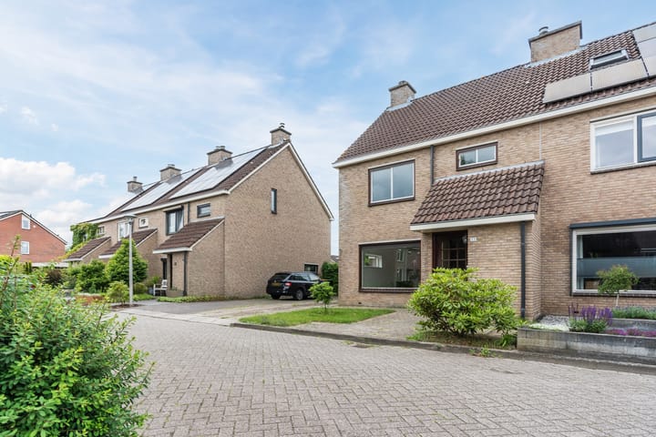 Foto 3 van Roodborst 35