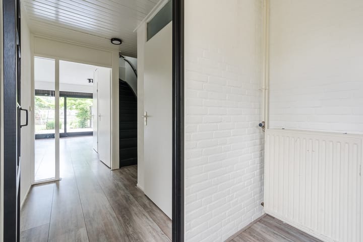 Foto 5 van Roodborst 35