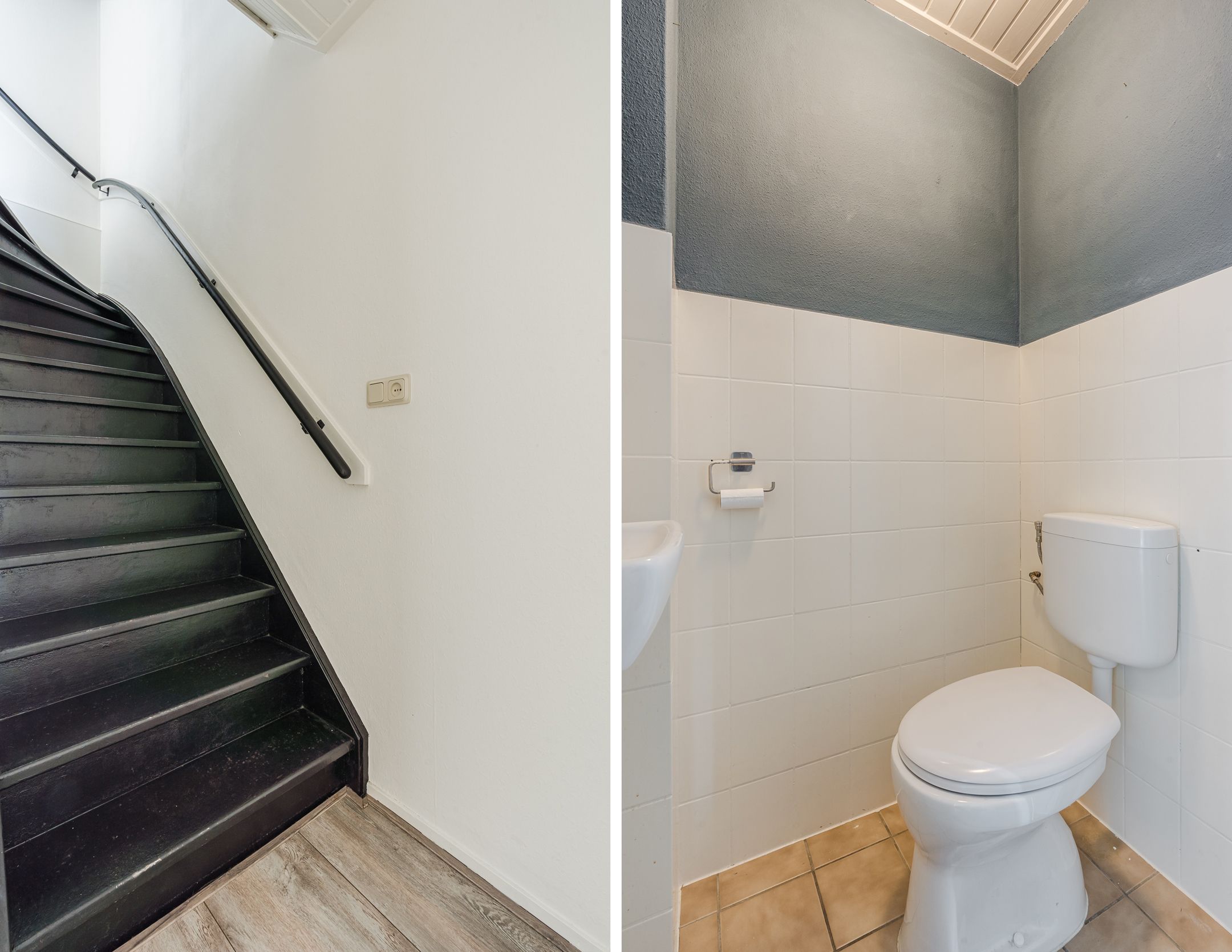 Foto 6 van Roodborst 35