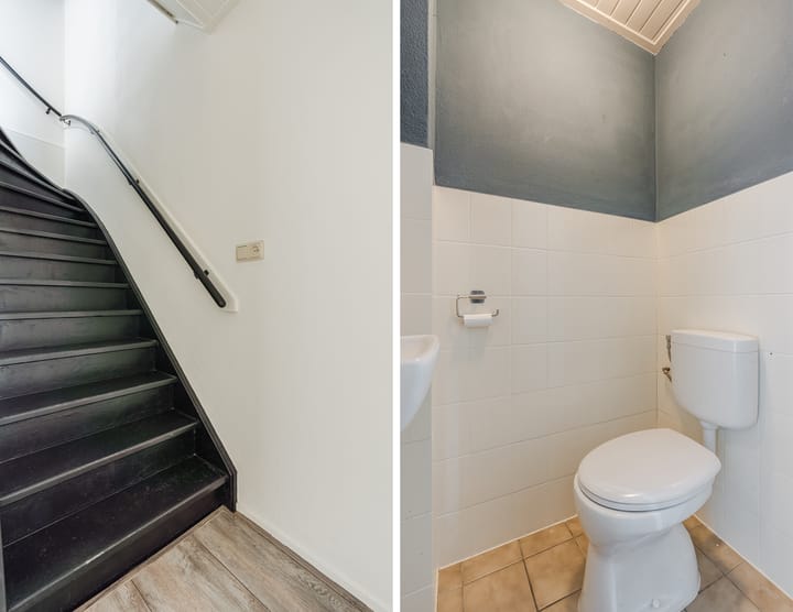 Foto 6 van Roodborst 35