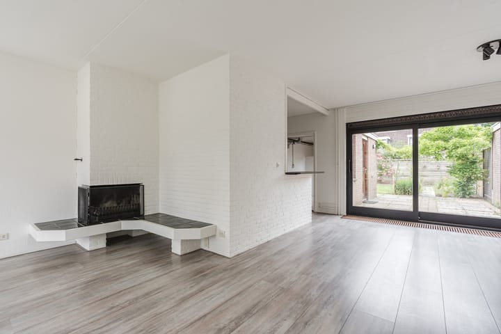 Foto 9 van Roodborst 35