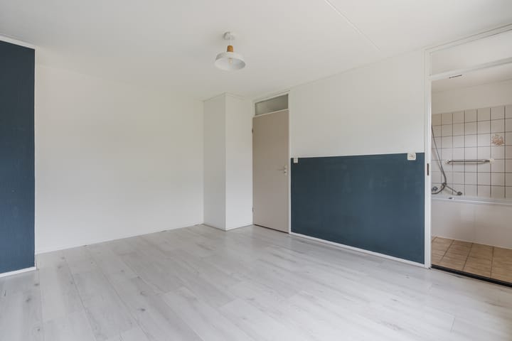 Foto 16 van Roodborst 35