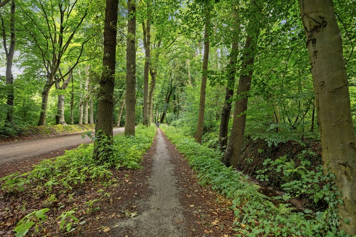 Foto 8 van Zonnehorst 32