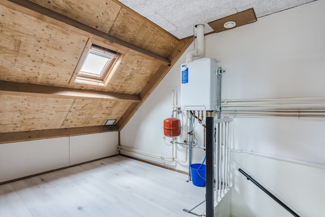 Foto 23 van Roodborst 35