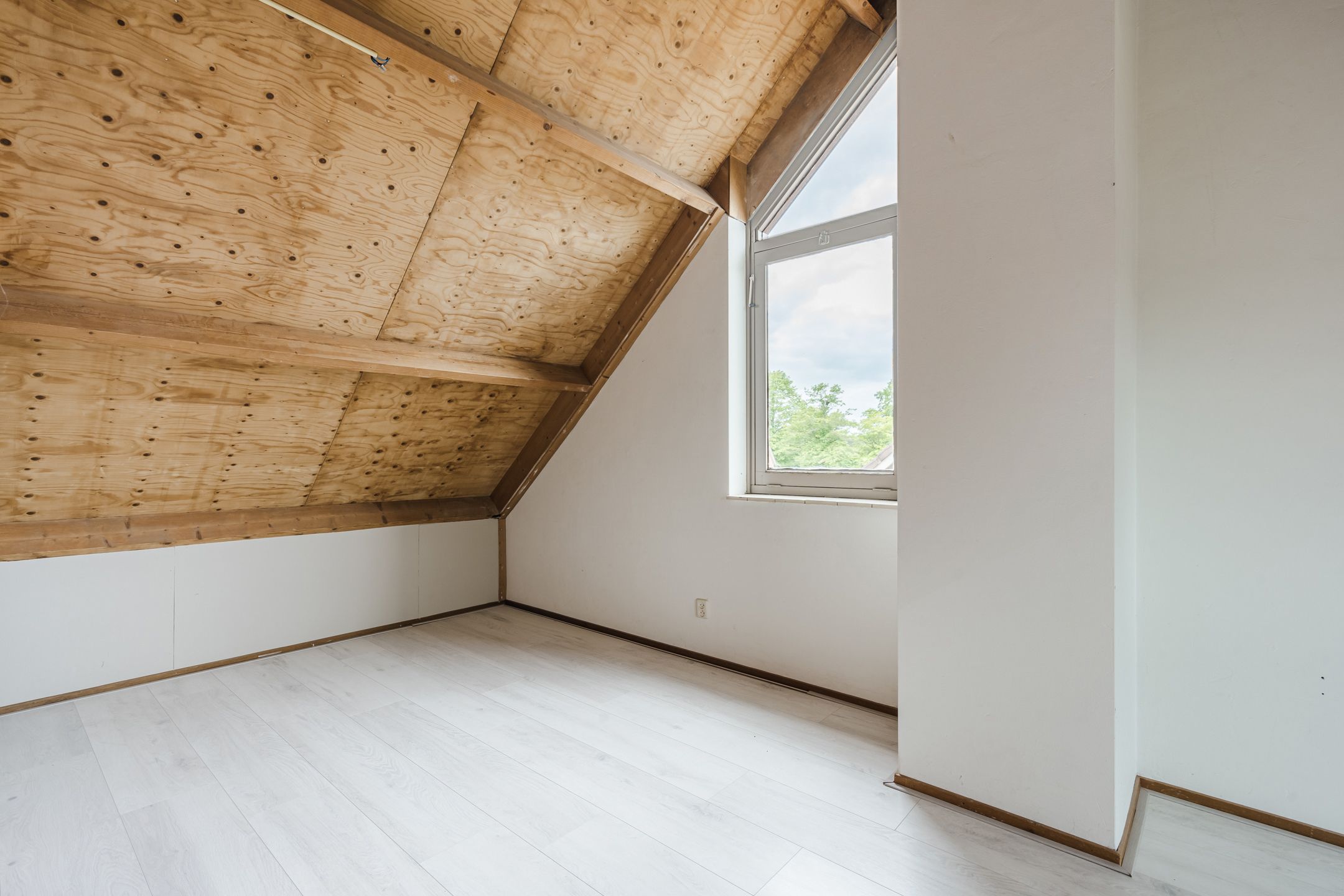 Foto 27 van Roodborst 35