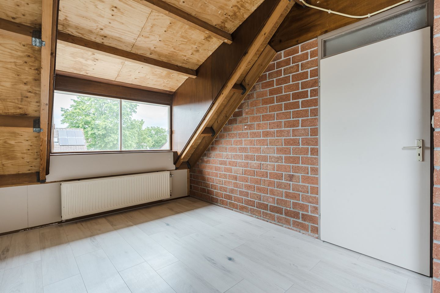 Foto 29 van Roodborst 35