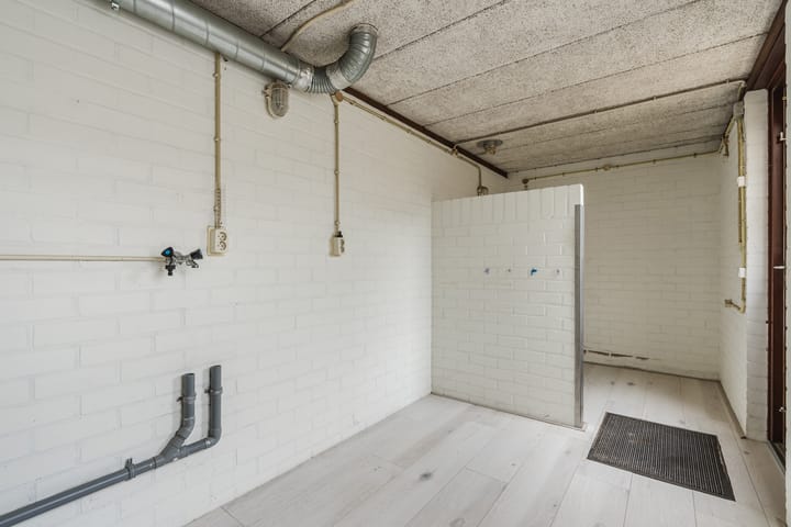 Foto 30 van Roodborst 35