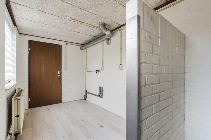 Foto 31 van Roodborst 35