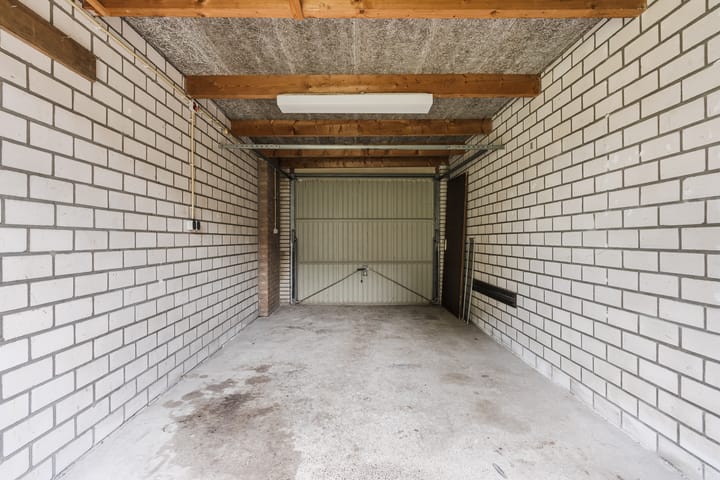 Foto 32 van Roodborst 35