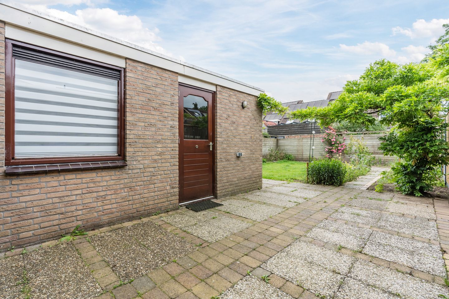 Foto 35 van Roodborst 35