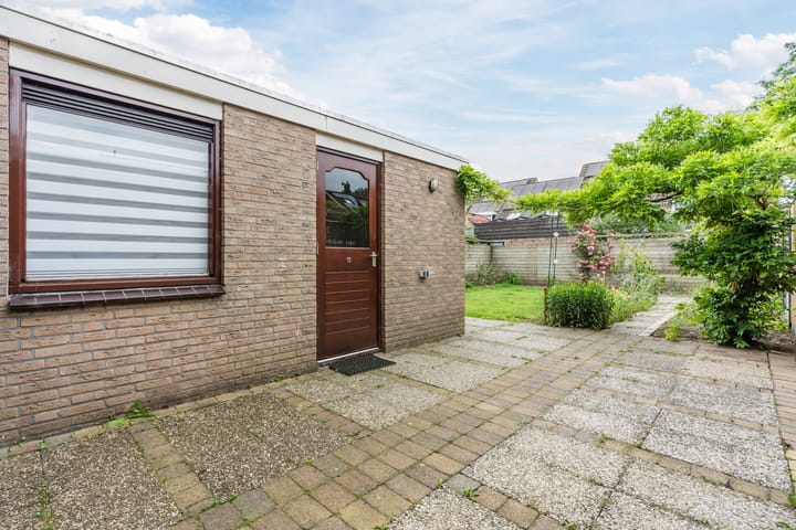 Foto 35 van Roodborst 35