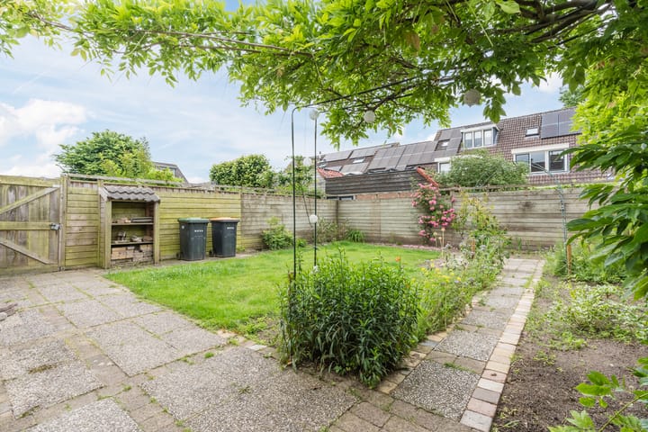 Foto 36 van Roodborst 35