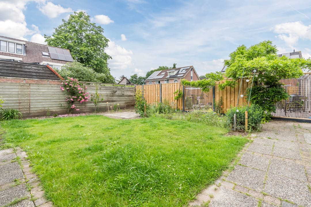 Foto 37 van Roodborst 35