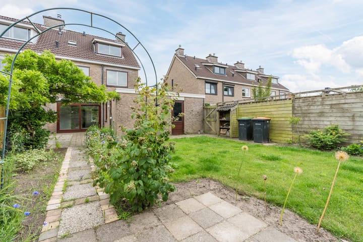 Foto 38 van Roodborst 35