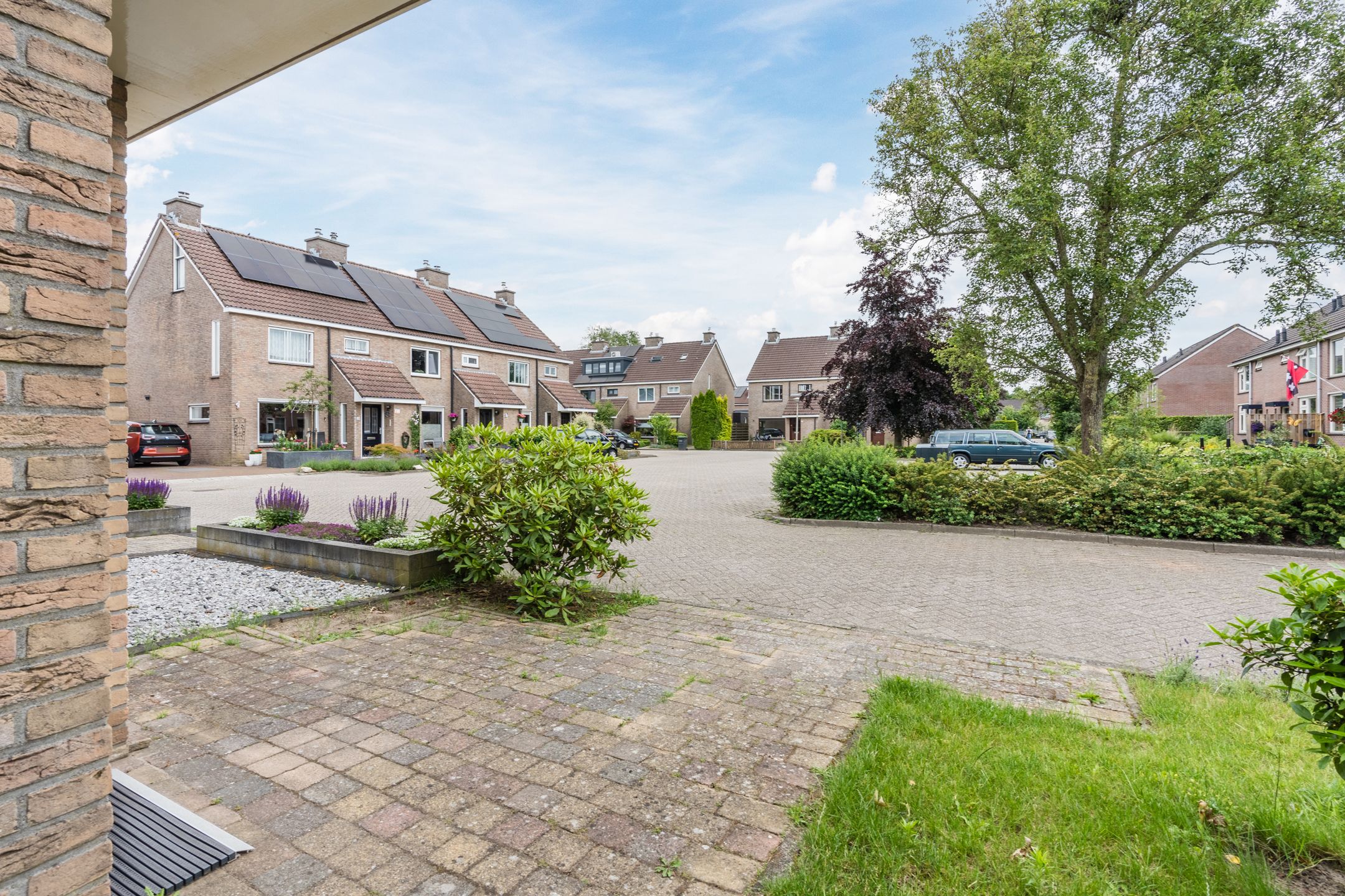 Foto 39 van Roodborst 35