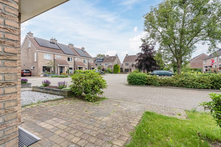 Foto 39 van Roodborst 35