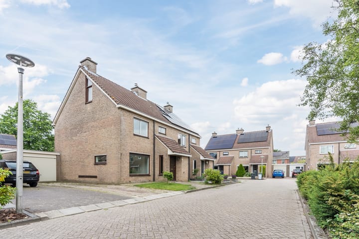 Foto 40 van Roodborst 35