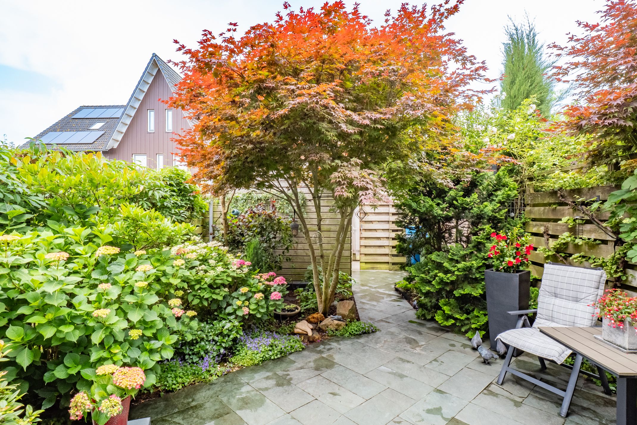 Foto 3 van Viswater 17