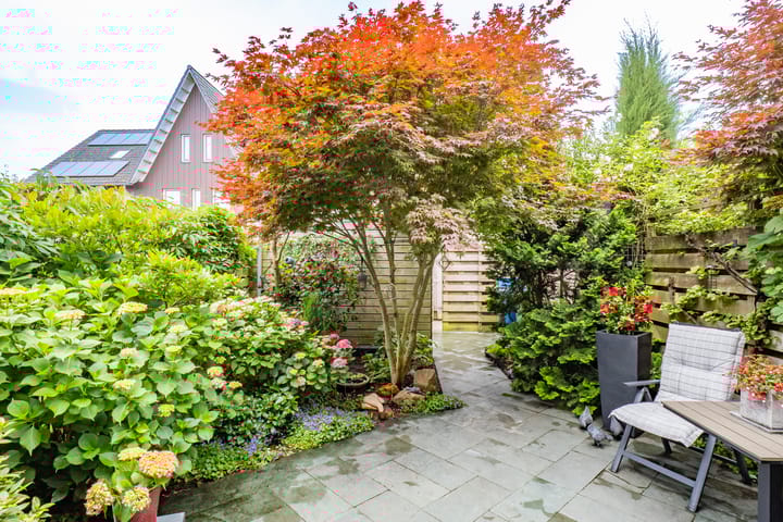 Foto 3 van Viswater 17