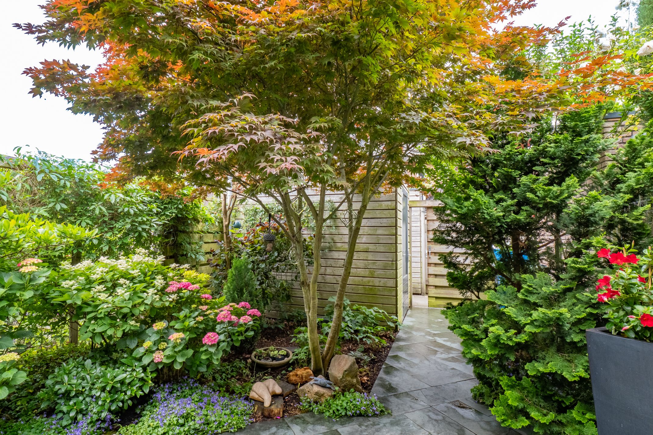 Foto 33 van Viswater 17