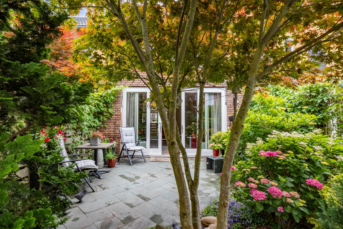 Foto 34 van Viswater 17