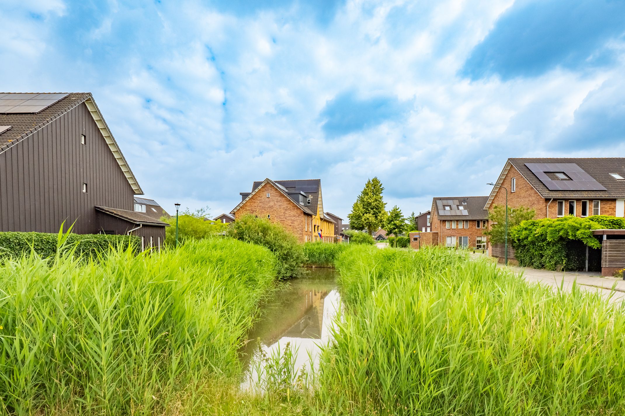 Foto 39 van Viswater 17