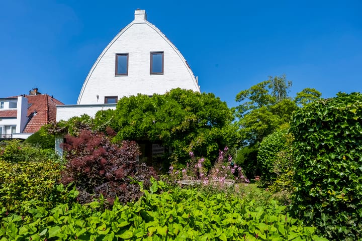 Foto 35 van Distellaan 36