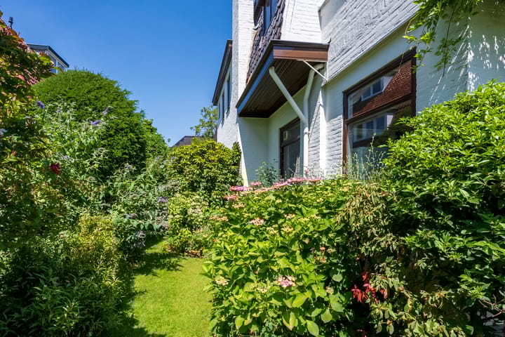 Foto 43 van Distellaan 36