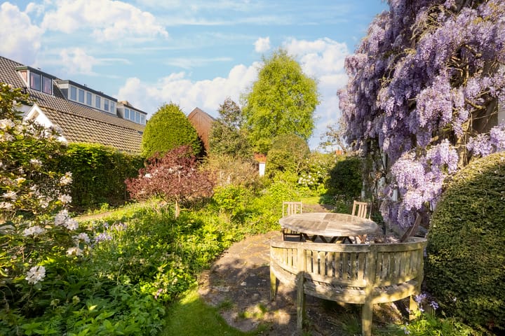 Foto 46 van Distellaan 36