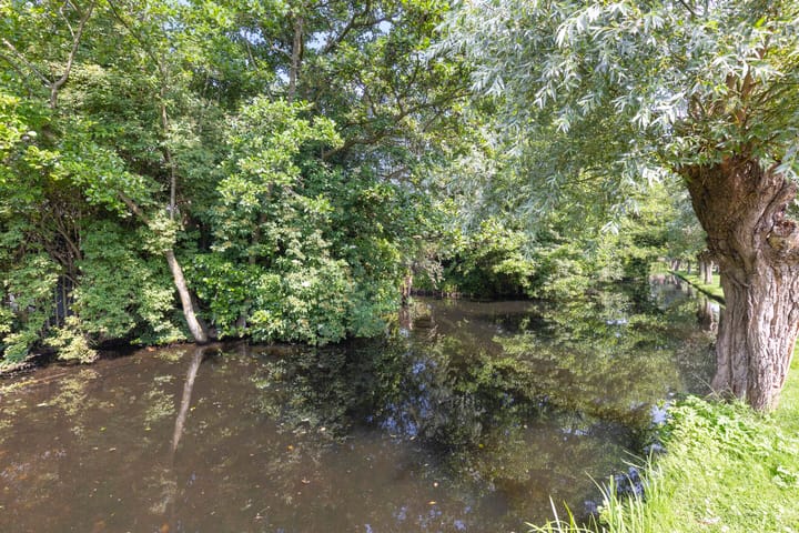 Foto 42 van Korenbloem 1-A