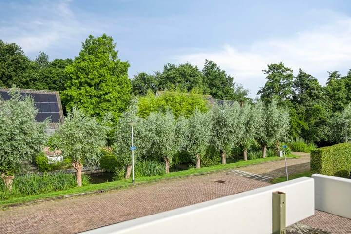 Foto 43 van Korenbloem 1-A