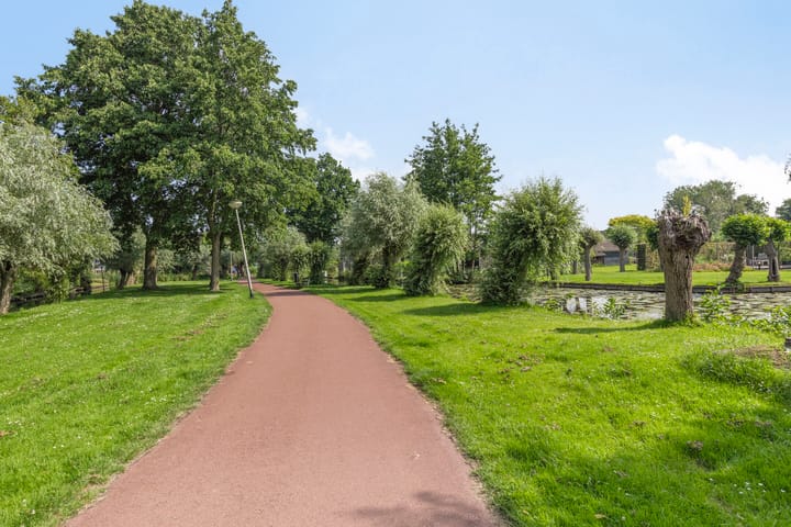 Foto 45 van Korenbloem 1-A