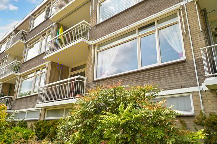 Foto 3 van Starrenburglaan 119