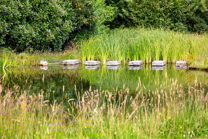 Foto 64 van Blankersweg 3