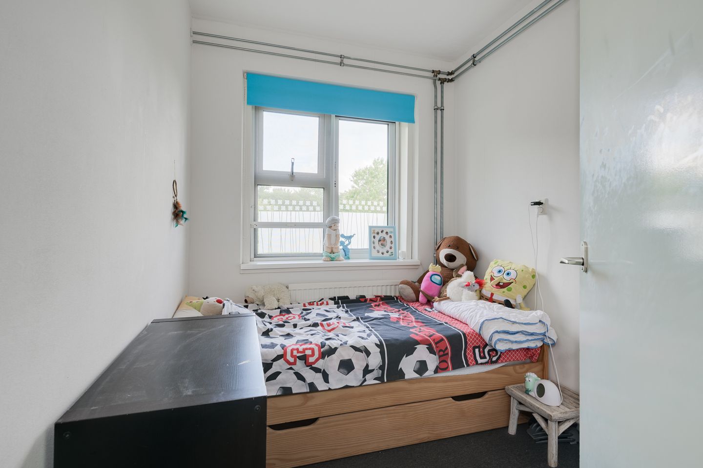 Foto 25 van Ligusterlaan 155