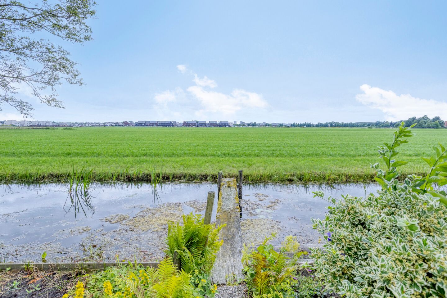 Foto 35 van Woudsterweg 32