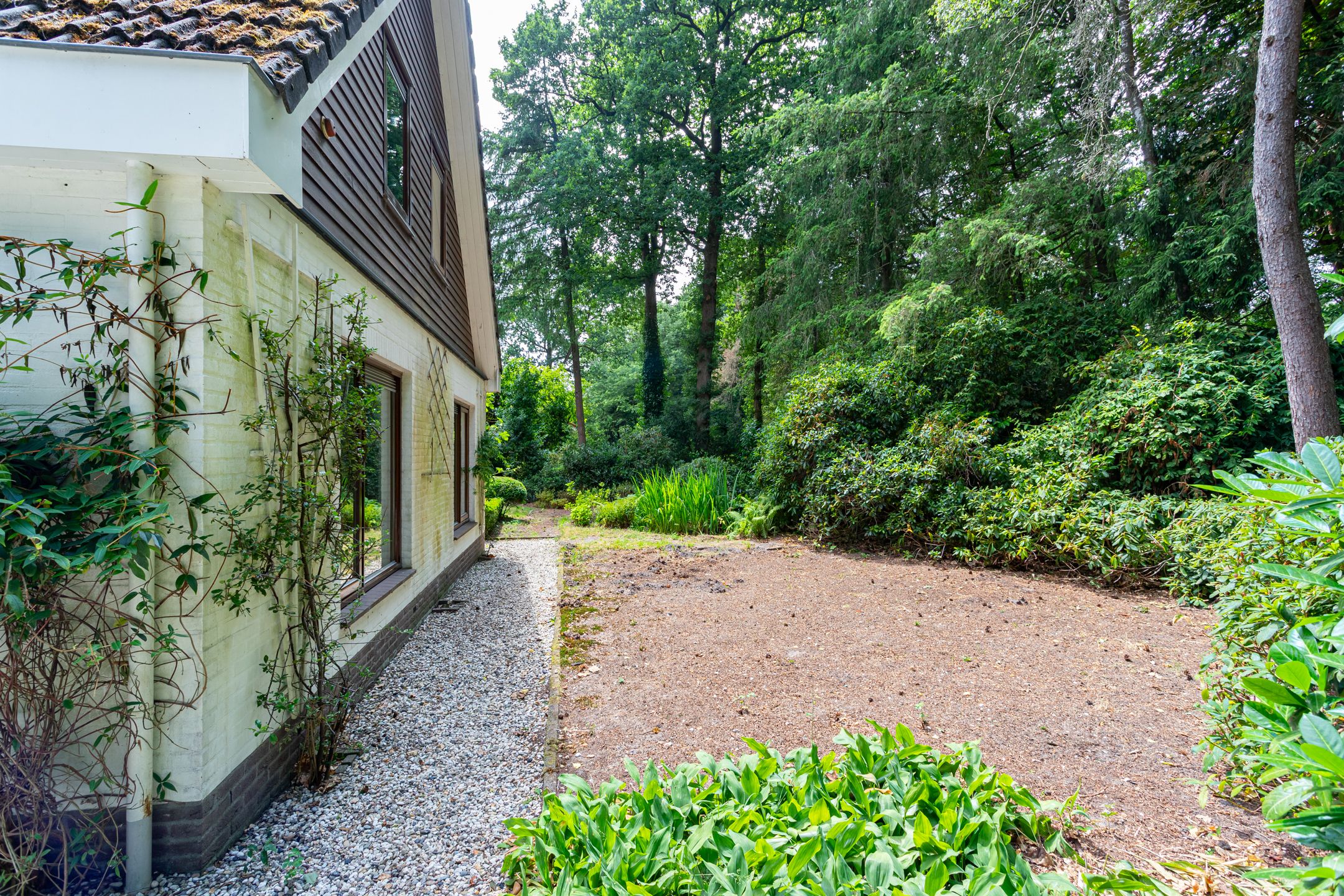 Foto 30 van Binckhorstlaan 2