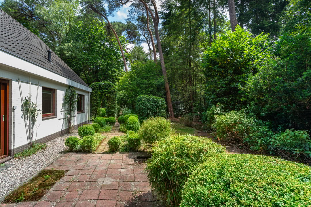 Foto 31 van Binckhorstlaan 2