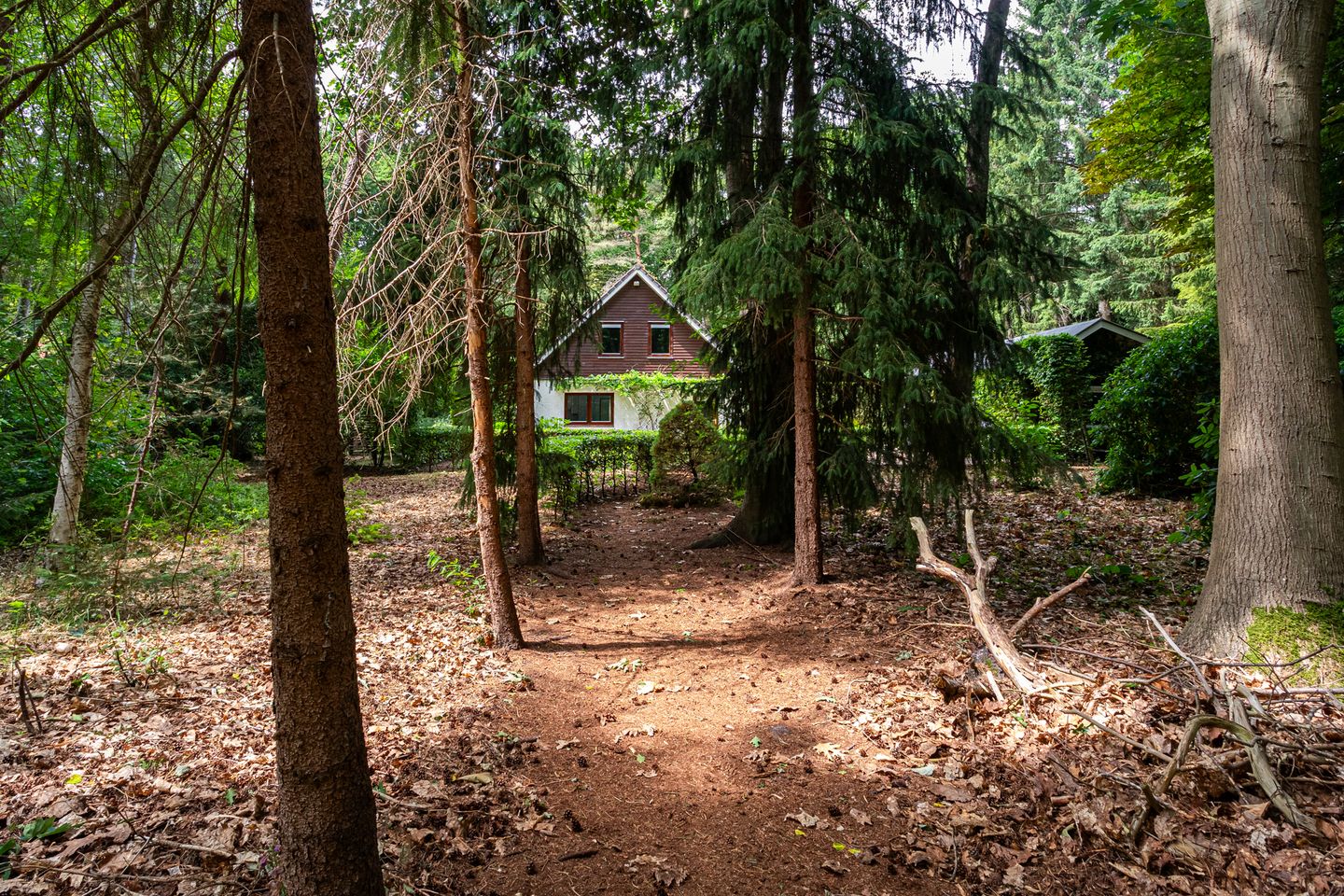 Foto 34 van Binckhorstlaan 2