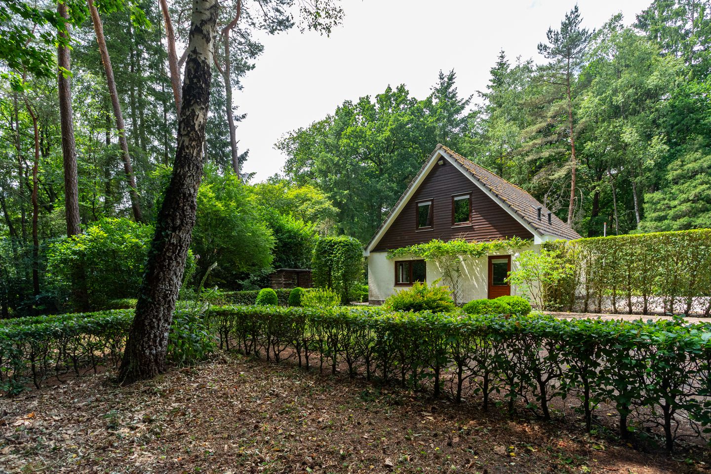 Foto 35 van Binckhorstlaan 2