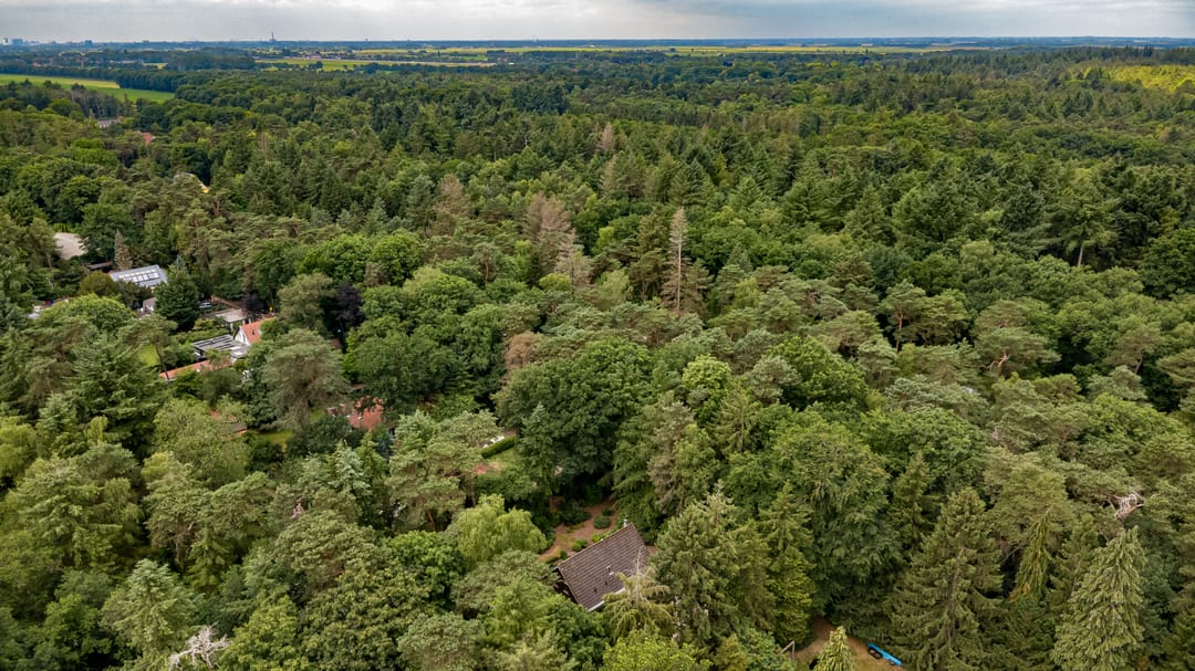 Foto 47 van Binckhorstlaan 2