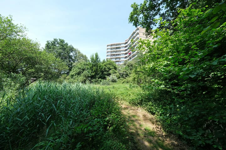 Foto 30 van Valkestein 105